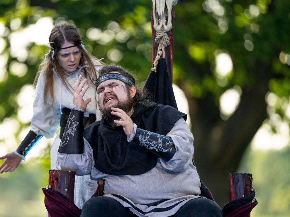 Jels Vikingespil - Skinkongen #4